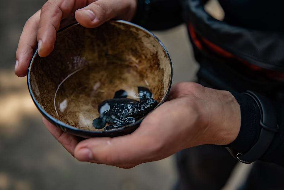 產後課程的重要性與真實故事分享