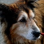 皺紋:理解成因與日常護理策略