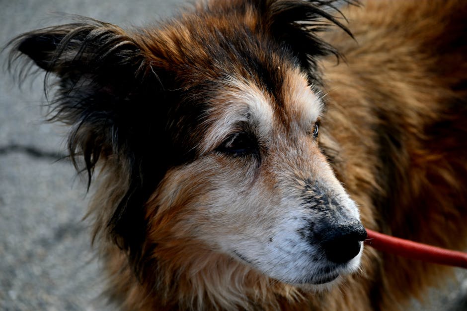 皺紋:理解成因與日常護理策略