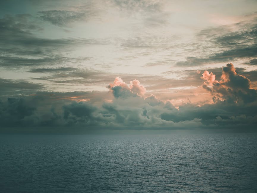 加拿大救生艇計劃：為未來打造安全保障